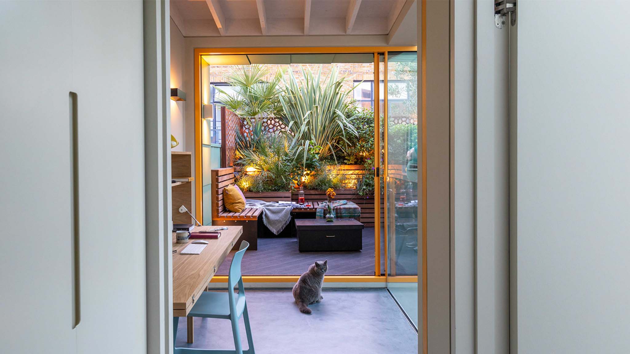 A Penthouse for Two Cats