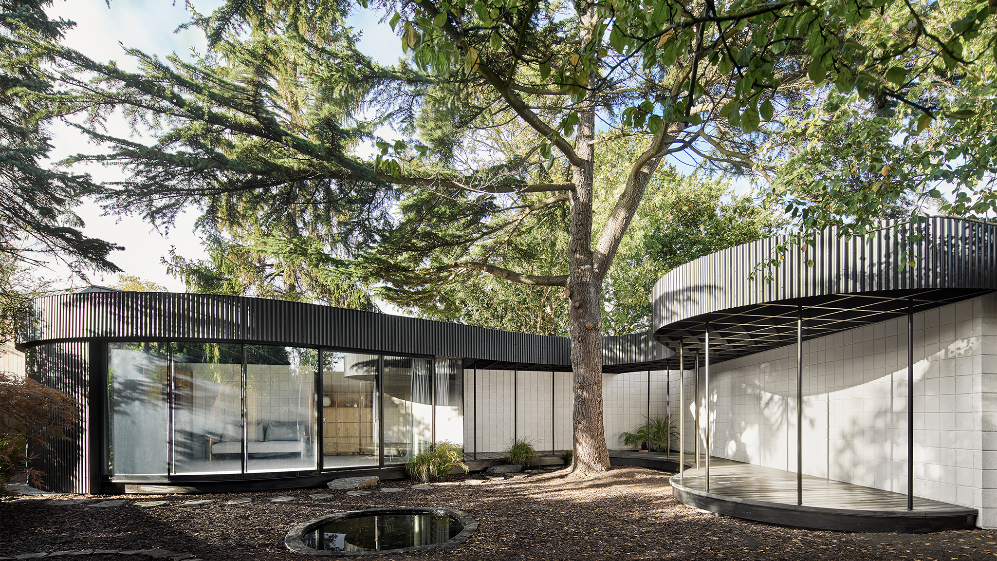 A Room Around a Tree