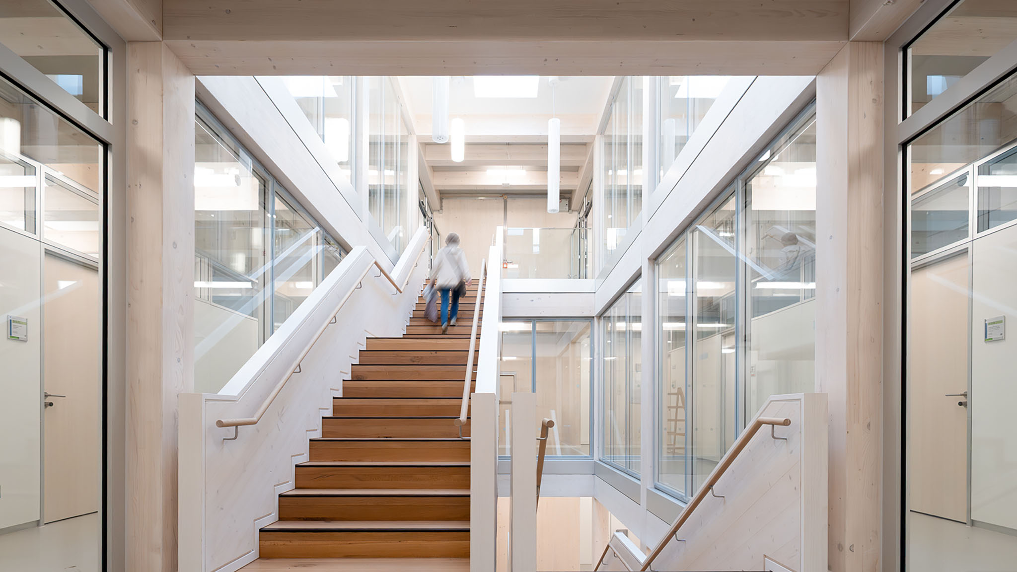 District Administration Extension — Hybrid Timber