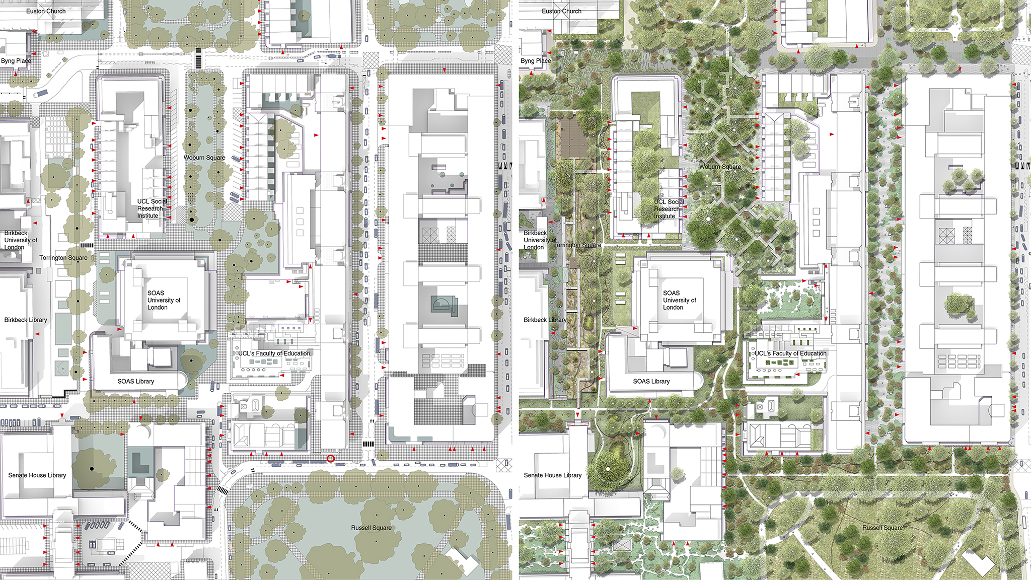 Urban Living Library: Creating Healthier University Campuses through Ecological Infrastructure